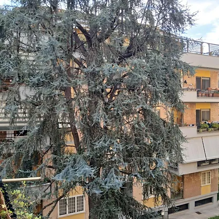 La Casa Di Antonella E Giuseppe * Ρώμη